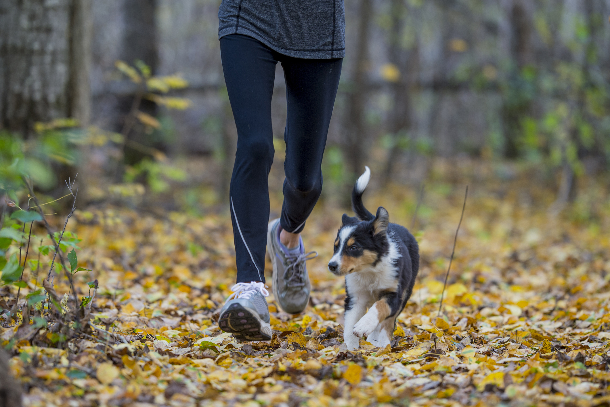 Running with a Puppy